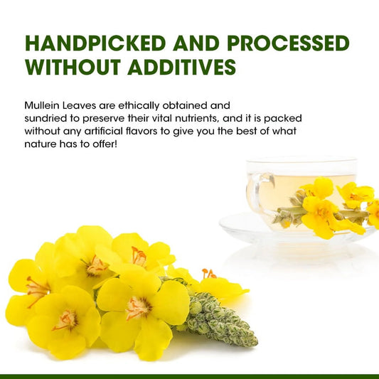 Mullein Leaf Herbal Tea for Respiratory Support, Natural Mullen Tea for Lung Cleanse, Detox and Immune Support - 28 Tea Bags - No Caffeine, Non-GMO