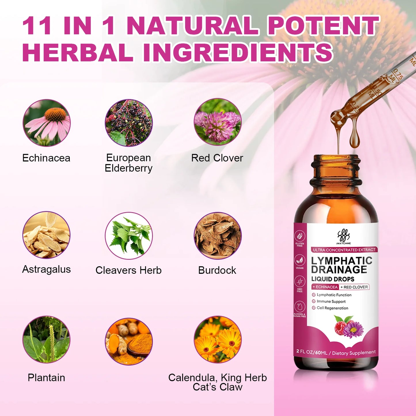 Lymphatic Drainage Supplements Drops - Organic Lymphatic Support Liquid Drops Cleanse with Echinacea, Lymph System Support Supplement - Sugar-Free, 2 fl oz