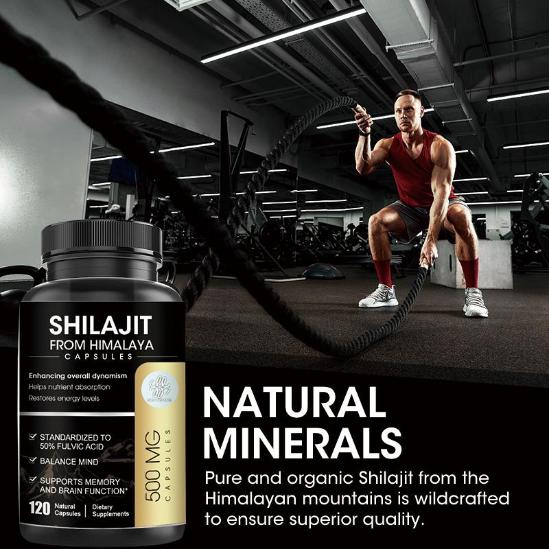 SHILAJIT From Himalaya Capsules