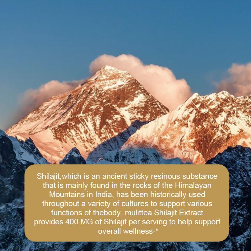 SHILAJIT From Himalaya Capsules