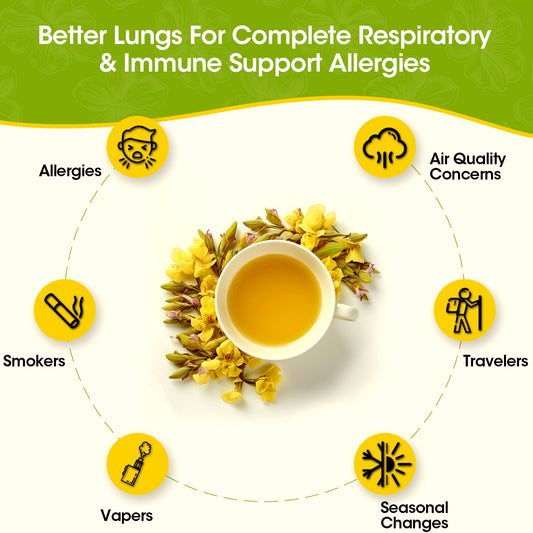 iMATCHME Mullein Tea for Lung Cleanse, Respiratory Support and Mucous Membranes, Natural Healthy Herbal Tea, No Caffeine, Non-GMO, 20 Tea Bags