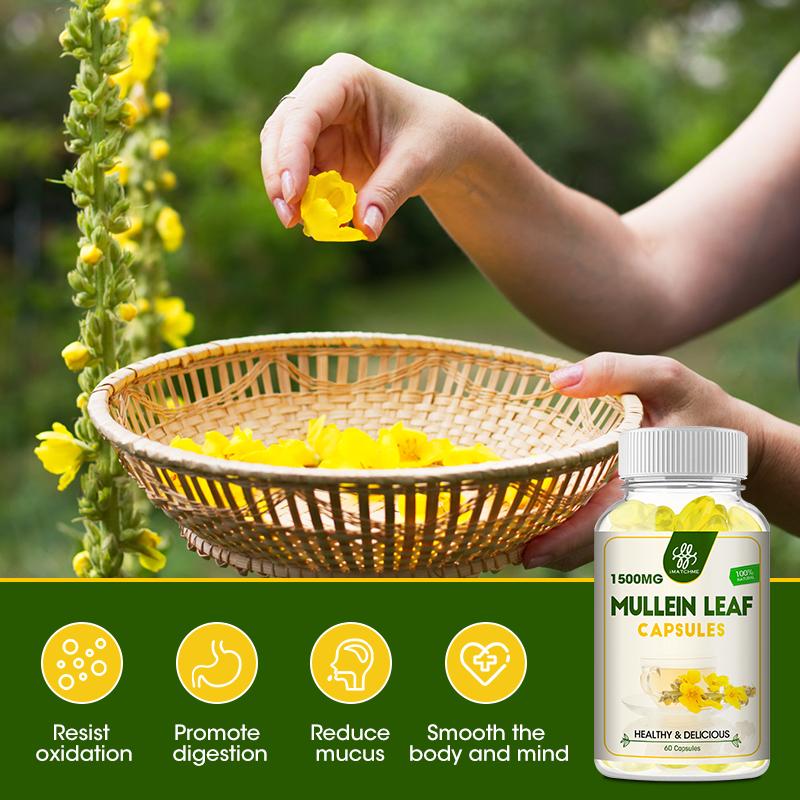 iMATCHME Mullein Leaf Capsules For Lung Cleansing & Detox clearance Respiratory Health Support Better sleep Vegetarian