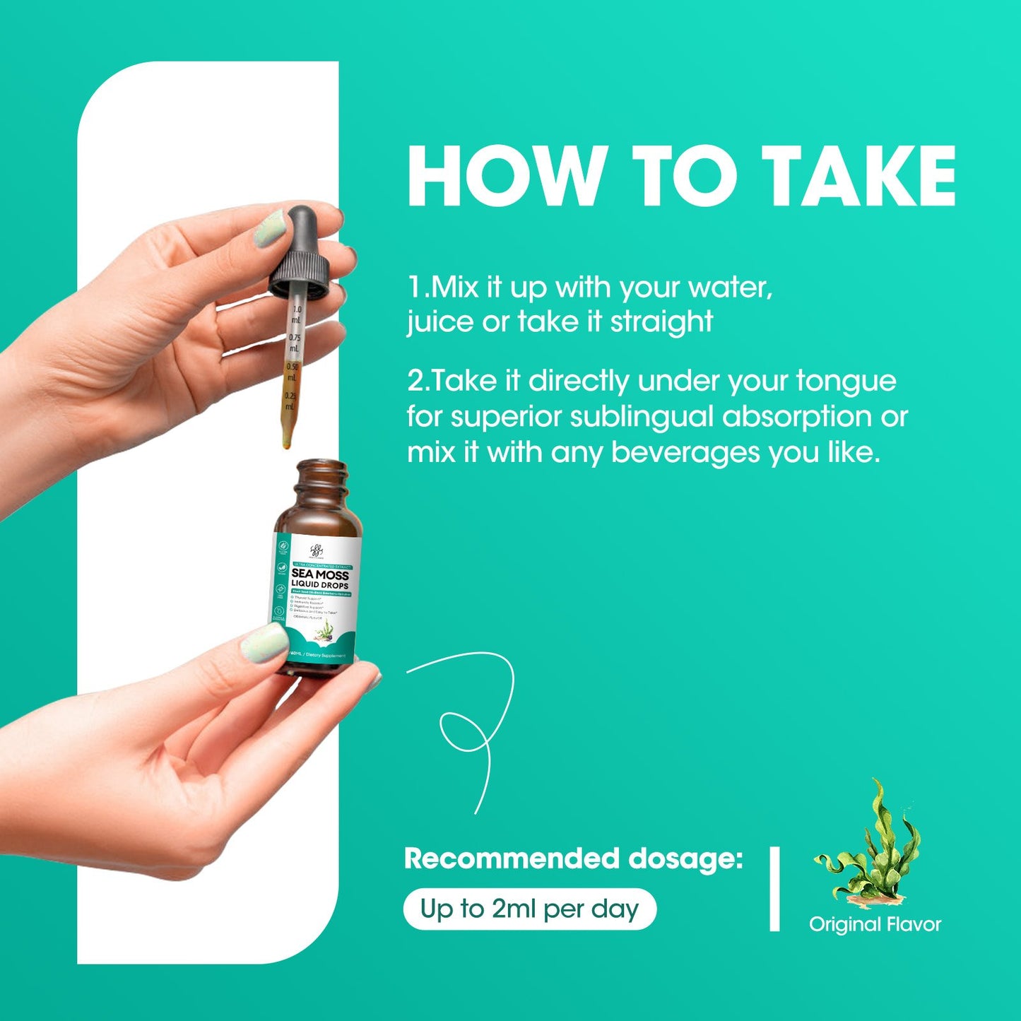 Sea Moss with Black Seed Oil, Spirulina, Black Elderberry, Burdock Root, Bladderwrack, Irish Sea Moss Liquid Drops for Immune System, Gut, Skin & Energy, Original Flavor, 2 Fl Oz