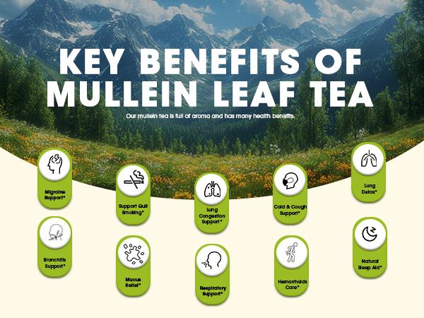 iMATCHME Mullein Tea for Lung Cleanse, Respiratory Support and Mucous Membranes, Natural Healthy Herbal Tea, No Caffeine, Non-GMO, 20 Tea Bags
