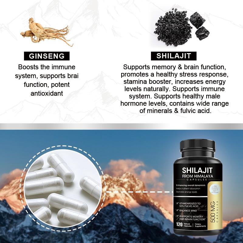 SHILAJIT From Himalaya Capsules