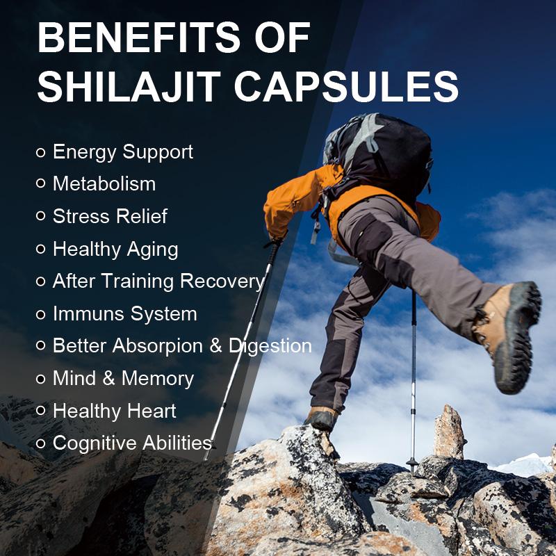 SHILAJIT From Himalaya Capsules