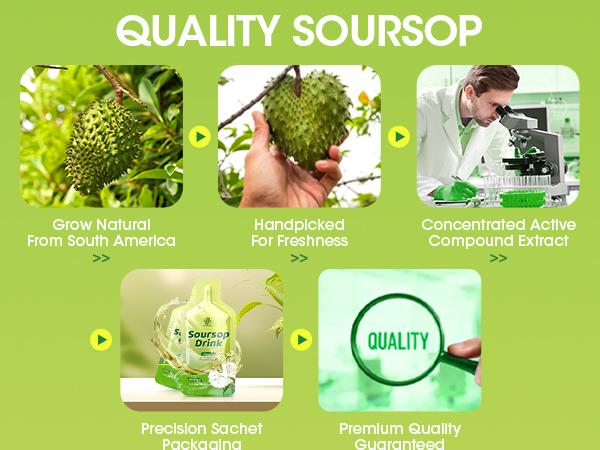 1800mg Soursop Graviola Extract - Soursop Bitters Liquid for Antioxidants, Immune Support, Digestive & Natural Energy Boost - Vegan & Gluten Free, Natural Flavor, 10 oz (10 Packs)