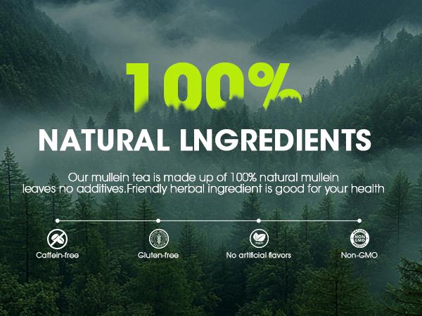 iMATCHME Mullein Tea for Lung Cleanse, Respiratory Support and Mucous Membranes, Natural Healthy Herbal Tea, No Caffeine, Non-GMO, 20 Tea Bags