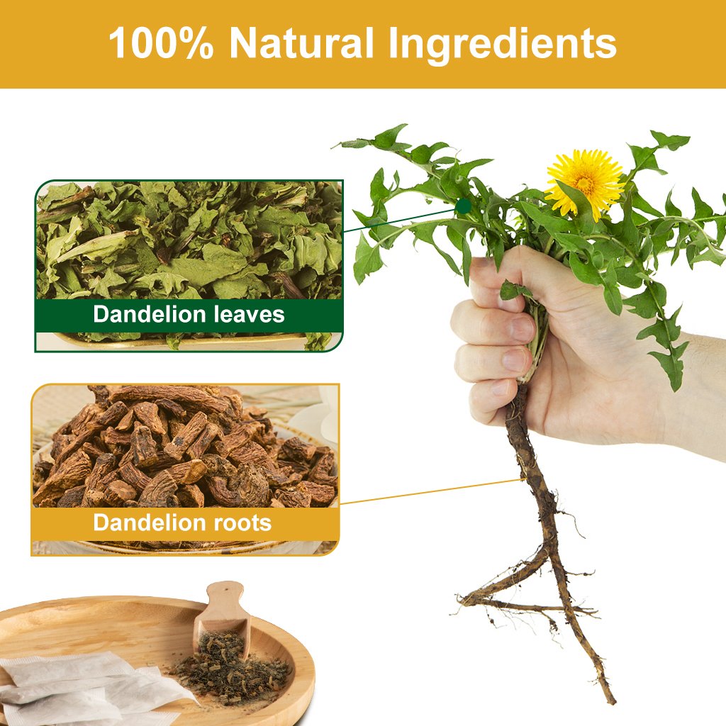 Dandelion Leaf & Root Tea, Digestion and Immune Support, Caffeine Free, 40 Bags/80g