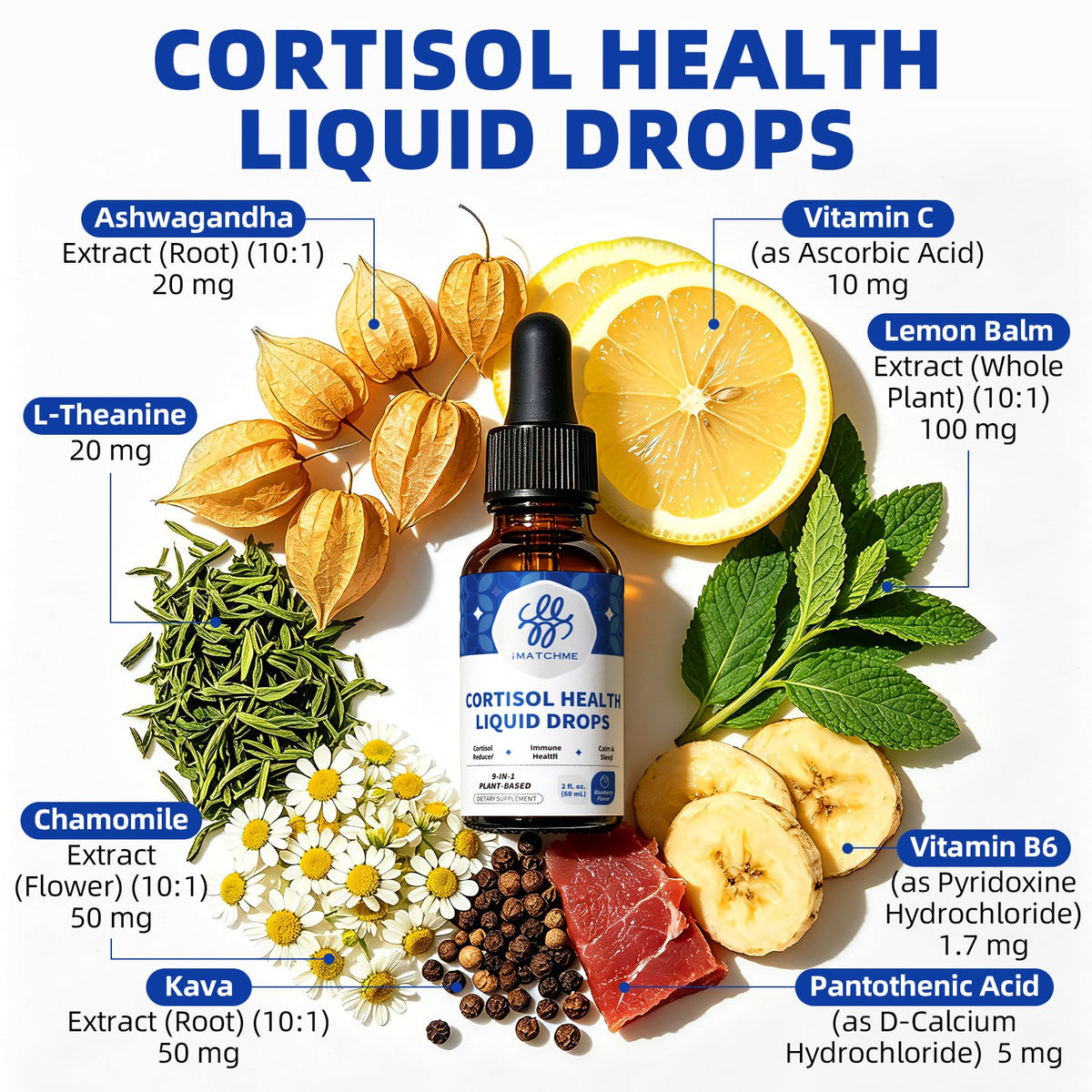 Cortisol Health Support Liquid Drops – Ashwagandha & L-Theanine Supplement, 2 fl oz