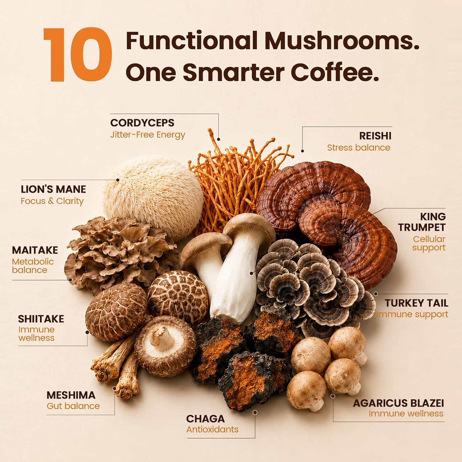 Functional Mushroom Coffee Blend