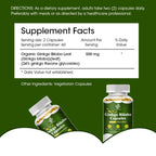 Ginkgo Biloba Capsules 500mg | Herbal Supplement | 120 Vegetarian Capsules