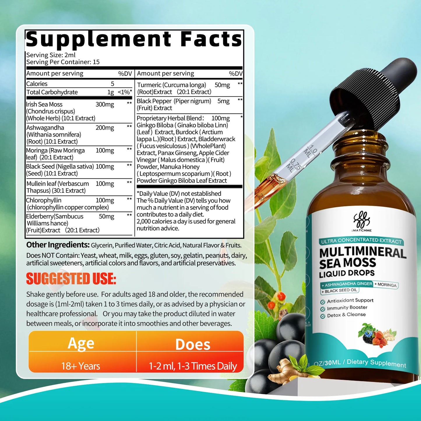 2 Pack Sea Moss Drops - Irish Sea Moss Chlorophyll Liquid with Black Seed Oil, Moringa, Turmeric, Elderberry, Seamoss Gel Supplement for Immune & Gut, Vegan, Sugar Free - 2 fl oz