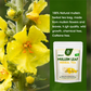 Mullein Leaf Herbal Tea for Respiratory Support, Natural Mullen Tea for Lung Cleanse, Detox and Immune Support - 28 Tea Bags - No Caffeine, Non-GMO