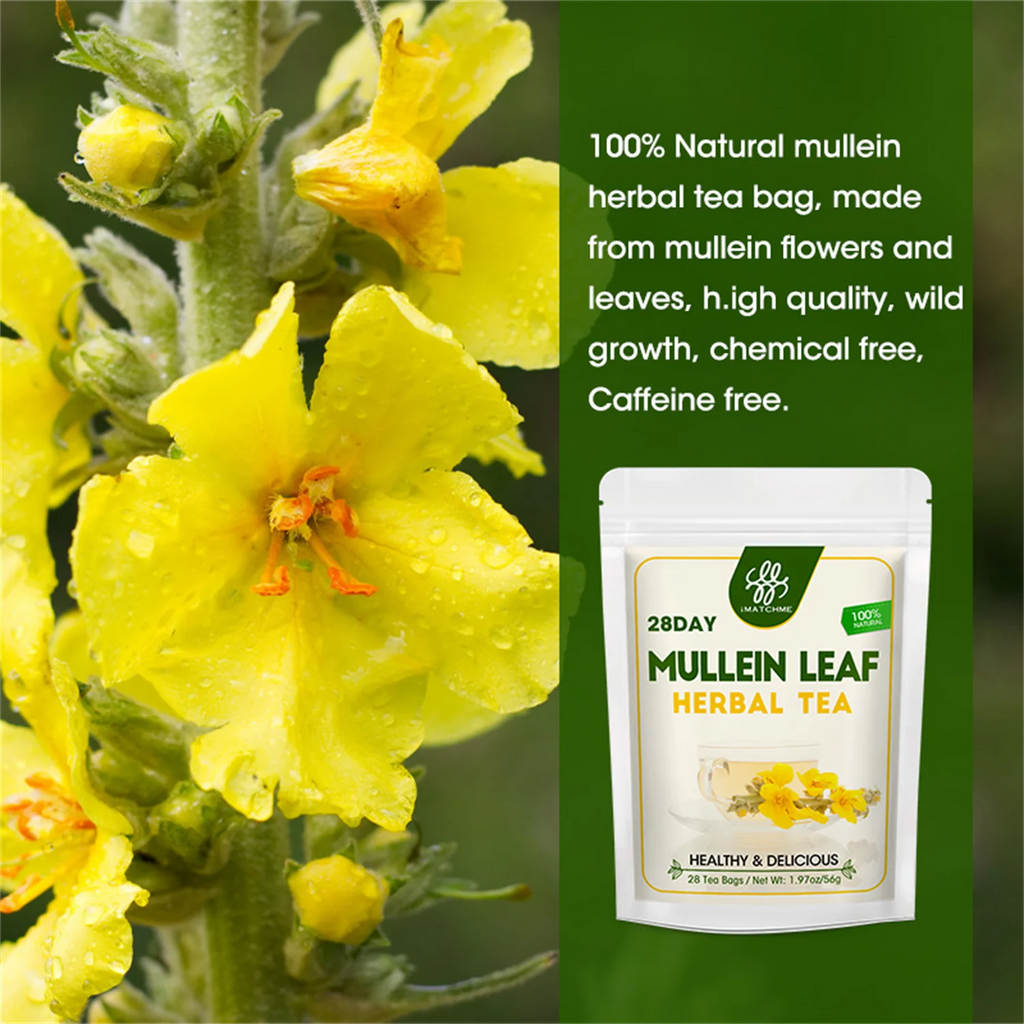 Mullein Leaf Herbal Tea