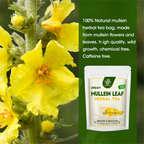 Mullein Leaf Herbal Tea