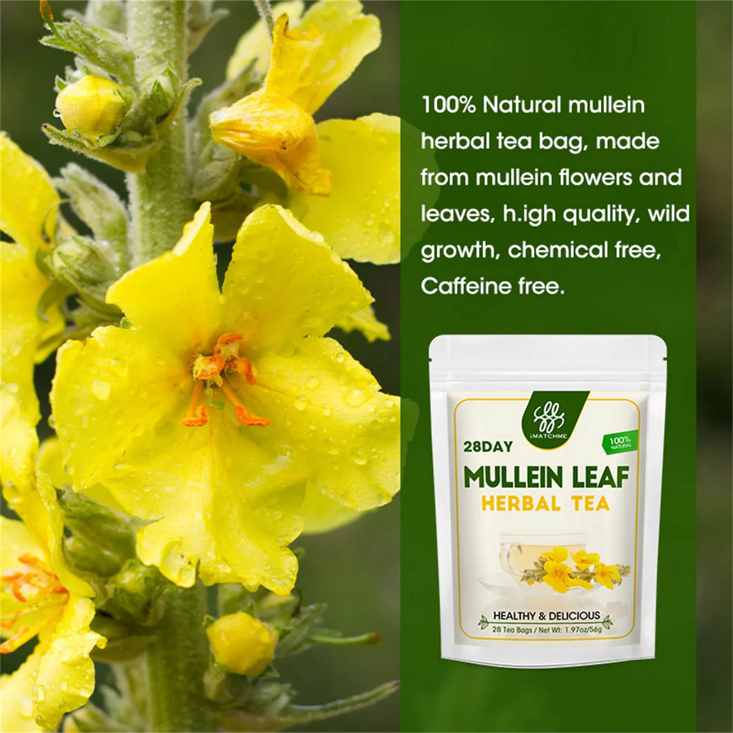 Mullein Leaf Herbal Tea for Respiratory Support, Natural Mullen Tea for Lung Cleanse, Detox and Immune Support - 28 Tea Bags - No Caffeine, Non-GMO