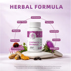 Lymphatic Drainage Supplements, Herbal Blend with Echinacea & Dandelion,Immune & Lymph Support,60 Ct