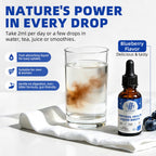 Cortisol Health Support Liquid Drops – Ashwagandha & L-Theanine Supplement, 2 fl oz