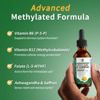 Methylated B Complex Drops (Mango)