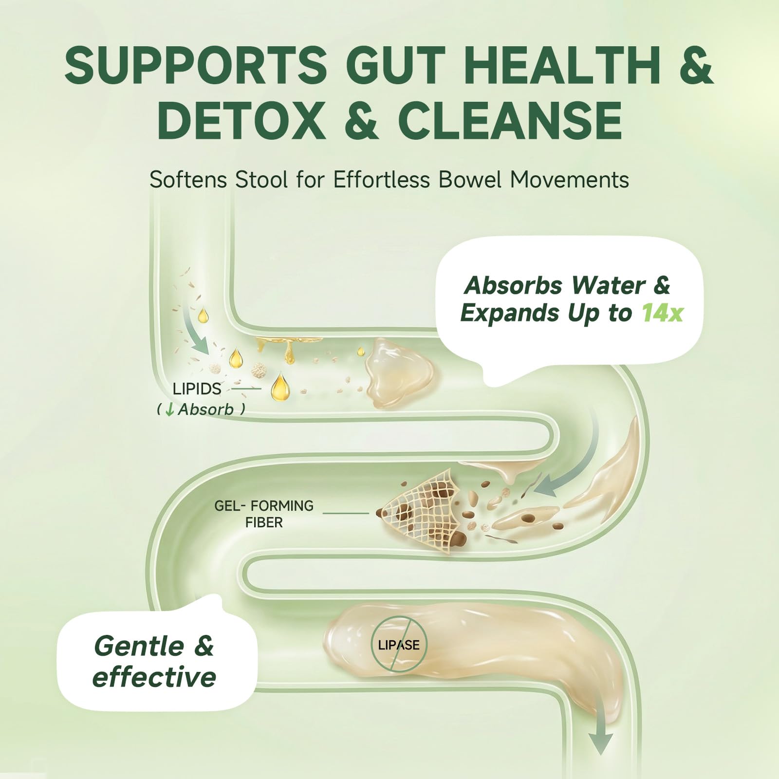 Psyllium Husk & Slippery Elm Complex
