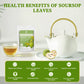 iMATCHME Soursop Graviola Leaves Tea Bag, Soursop Loose Leaf Herbal Tea for Support Digestion & Rich In Nutrients, Hoja Guanabana Tea, Sugar/Caffeine/Gluten Free, 40 Tea Bags
