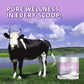 Colostrum Powder