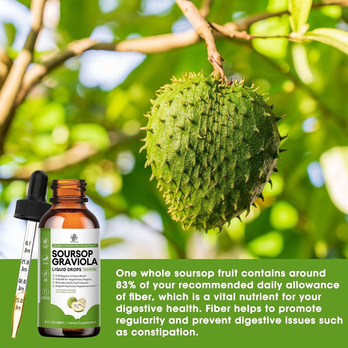 Soursop Liquid Drop for Cell Support & Regeneration, Immune Boost, Relax, Liver and Sleep, Soursop Bitters Liquid, Herbal Goodness, Sugar/Gluten Free, Natural Flavor, 2 Fl Oz