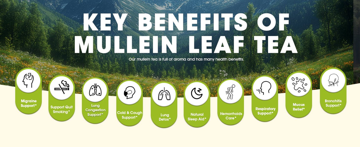 iMATCHME Mullein Tea for Lung Cleanse, Respiratory Support and Mucous Membranes, Natural Healthy Herbal Tea, No Caffeine, Non-GMO, 20 Tea Bags