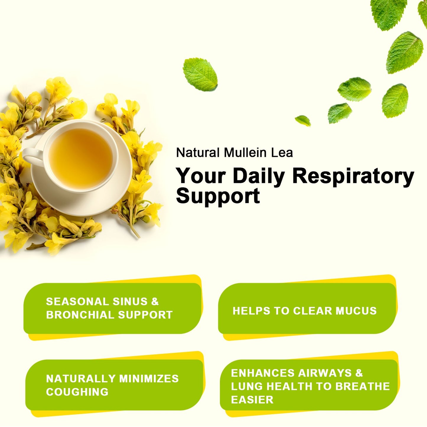 iMATCHME Mullein Tea for Lung Cleanse, Respiratory Support and Mucous Membranes, Natural Healthy Herbal Tea, No Caffeine, Non-GMO, 20 Tea Bags