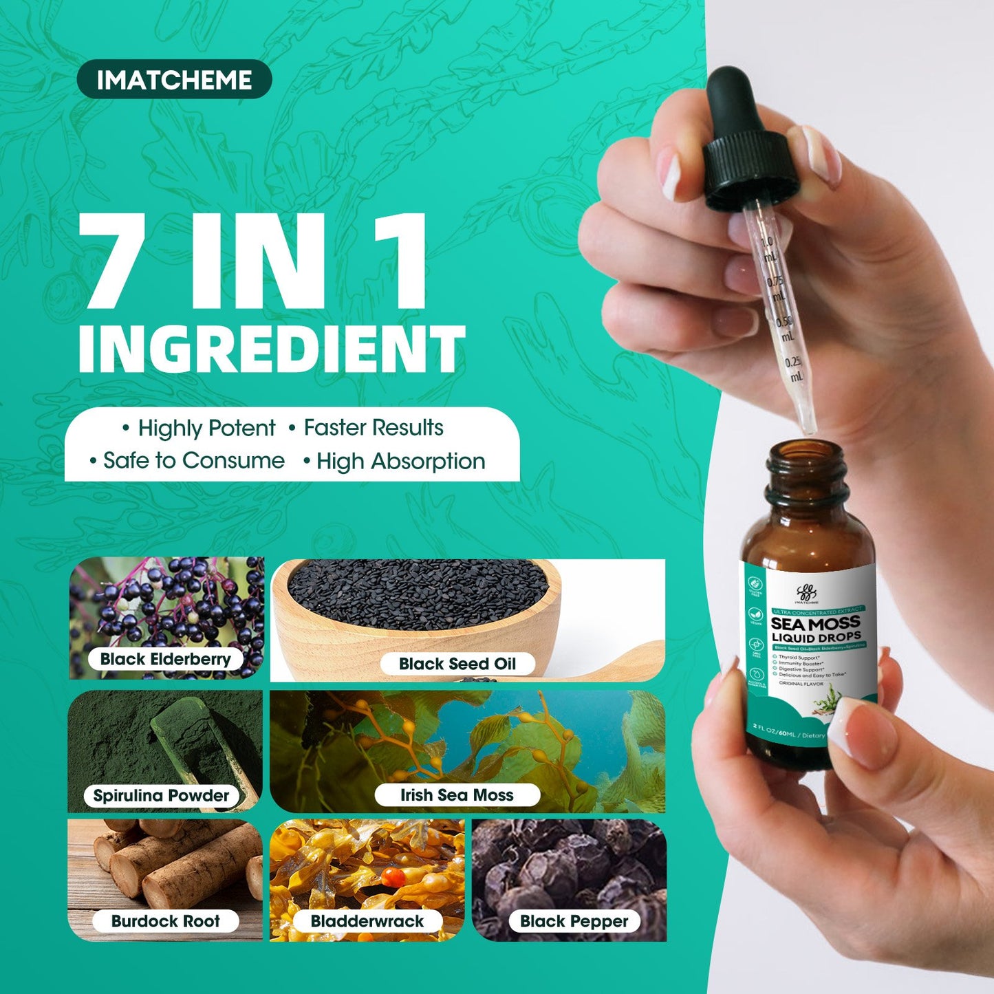 Sea Moss with Black Seed Oil, Spirulina, Black Elderberry, Burdock Root, Bladderwrack, Irish Sea Moss Liquid Drops for Immune System, Gut, Skin & Energy, Original Flavor, 2 Fl Oz