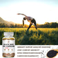 Black Seed Oil Vegetable Capsules