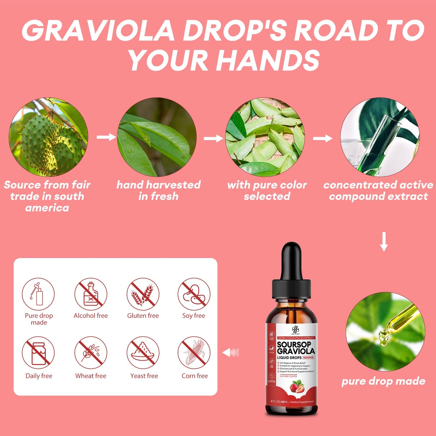 Soursop Graviola Liquid Drop Strawberry Flavor Natural Soursop Leaves & Fruit Complex for Overall Wellness